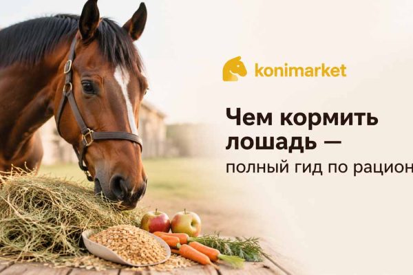 Чем кормить лошадь — полный гид по рациону