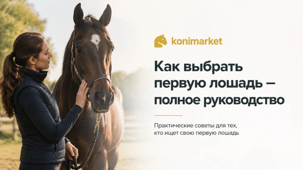Как выбрать первую лошадь — полное руководство