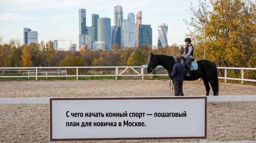 С чего начать конный спорт — пошаговый план для новичка в Москве и МО