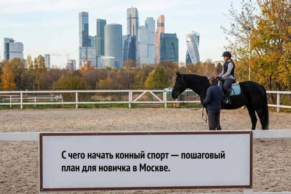С чего начать конный спорт — пошаговый план для новичка в Москве и МО