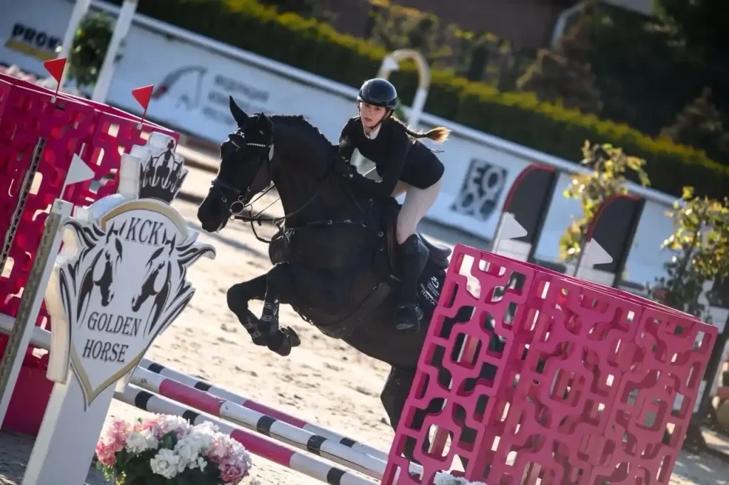 Вороная кобыла в конкур