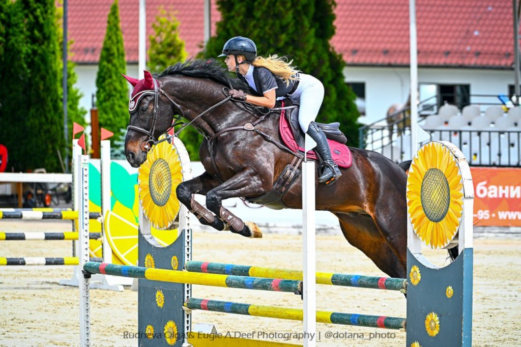 Ганноверский мерин 2013 г.р.