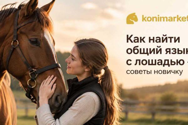 Как найти общий язык с лошадью — советы новичку