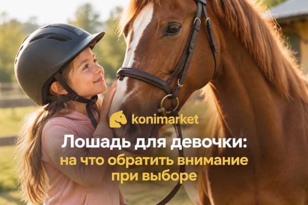 Лошадь для девочки: на что обратить внимание при выборе