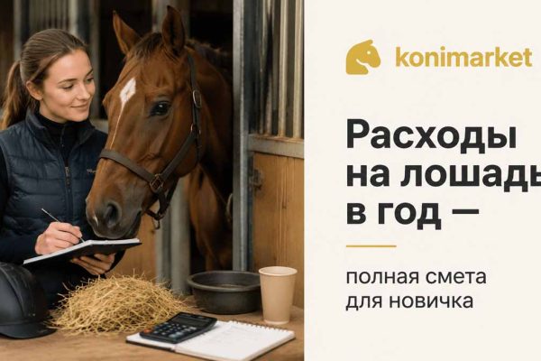 Расходы на лошадь в год — полная смета для новичка